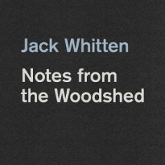 Jack Whitten: Notes from the Woodshed