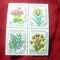 Serie - bloc IRAN 1984 - Flora , 4 valori