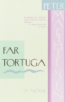 Far Tortuga foto