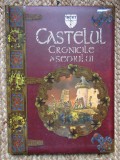 CASTELUL CRONICILE ASEDIULUI de DERK FARMER , ILUSTRATII de MARK BERGIN , 2008