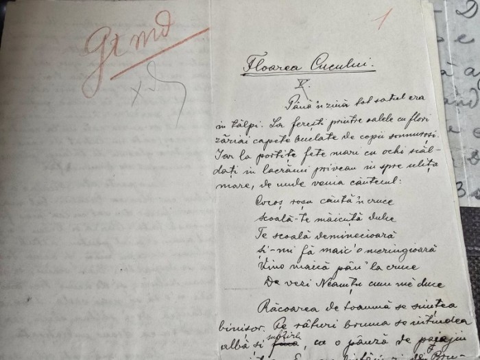 Manuscris Simion Gocan