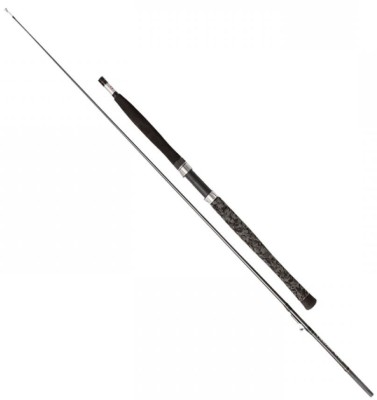 Lanseta Penn Legion Cat Silver Inliner, 2.00m , 200-300g, 1seg foto