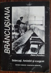 [COLECTIA BRANCUSIANA NR. 9 / CONSTANTIN BRANCUSI] PETRE PANDREA - BRANCUSI: AMINTIRI SI EXEGEZE (EDITIE DE NICOLAE DIACONU, 2000)