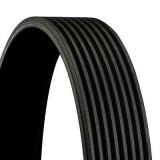 Curea transmisie cu caneluri Mazda 5, 6; Mercedes Atego 2, Econic, Zetros; Renault Trucks Premium 2; Volvo Fe, Fe II Motor 1624, 1624 K, 1629, 1828