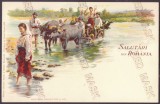 2755 - ETHNIC, Port Popular, Litho, Romania - old postcard - unused