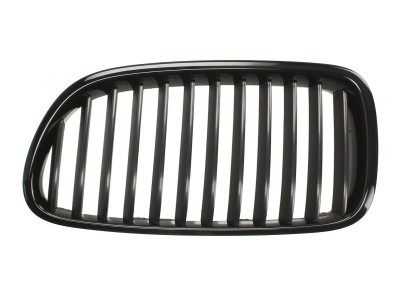 Grila radiator BMW Seria 5 Touring (F11) (2010 - 2016) BLIC 6502-07-0067992P foto