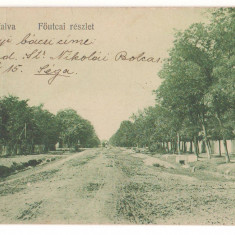 SV * BODO sat in jud. Timis / Banat * STRADA PRINCIPALA * 1915 * ceva mai rara