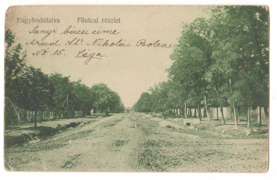 SV * BODO sat in jud. Timis / Banat * STRADA PRINCIPALA * 1915 * ceva mai rara foto