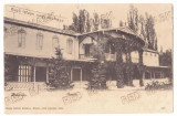 1679 - BUZIAS, Timis, Bazar, Litho, Romania - old postcard - used - 1902, Circulata, Printata