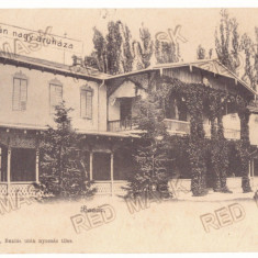 1679 - BUZIAS, Timis, Bazar, Litho, Romania - old postcard - used - 1902