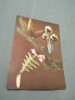 CARTE POSTALA FELICITARE CIRCULATA, Printata