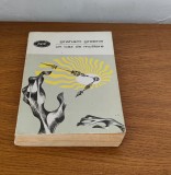 Graham Greene - Un caz de mutilare
