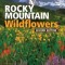 Rocky Mountain Wildflowers