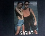 Giglio - Mini Poster [A4]