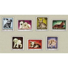 Ungaria 1974 - Pui de animale, serie neuzata