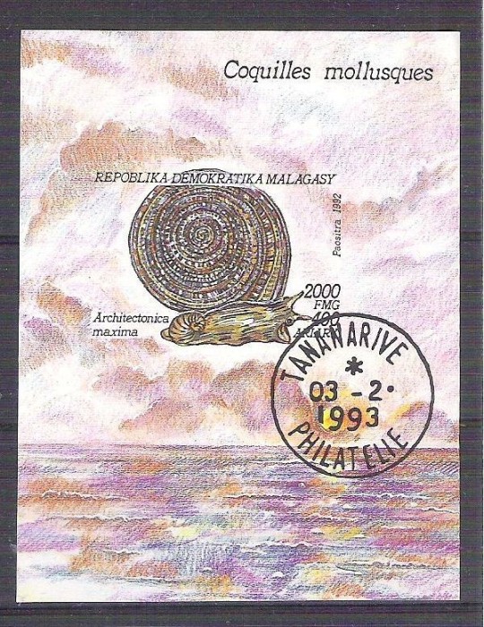 Madagascar 1993 Molluscs, perf. sheet, used AB.035