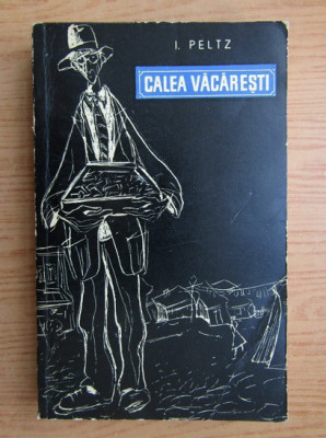 I. Peltz - Calea Vacaresti foto