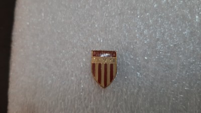 Insigna Poli Timisoara foto