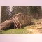 QW24 C - Carte postala - tematica turism - vedere - Chilia Sfantului Daniil Sihastrul 1