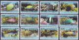 DB1 Fauna Marina Pesti Penhryn 2013 12 v. MNH, Nestampilat