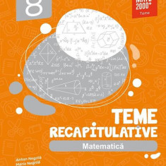 Matematică. Teme recapitulative. Clasa a VIII-a - Paperback brosat - Anton Negrilă, Maria Negrilă - Paralela 45 educațional