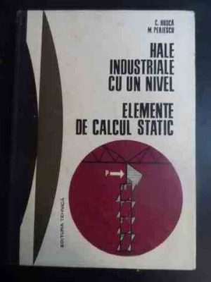 Hale Industriale Cu Un Nivel. Elemente De Calcul Static - C. Rusca, M. Perjescu ,544423 foto