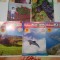 REBUS IDEAL ~ REVISTA BILUNARA DE CUVINTE INCRUCISATE ( lot 5 reviste noi )