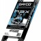 Curea snowmobil 1244,6 mm (49&quot;) Dayco HPX Cod Produs: MX_NEW 11420367PE