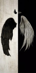 Husa Personalizata HUAWEI Y5 2017 \ Y6 2017 Angel and Demon