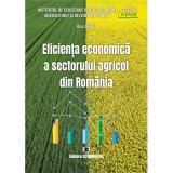 Eficienta economica a sectorului agricol din Romania - Ana Ursu