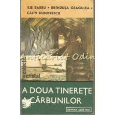 A Doua Tinerete A Carbunilor - Ilie Barbu, Brindusa Geagulea, Calin Dumitrescu