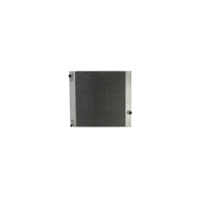 Radiator apa LAND ROVER RANGE ROVER III LM AVA Quality Cooling U2166 foto