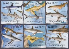 Fauna, rechini, Mozambic, 2011, MNH foto