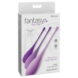 Set Bile Vaginale Exercitii Kegel, Fantasy, 3 buc.