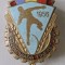 INSIGNA SPARTACHIADA TINERETULUI 1956 ARUNCAREA GREUTATII RPR (CITITI DESCRIEREA)