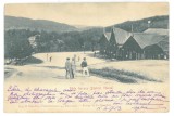 239 - GOVORA, Valcea, Litho, Romania - old postcard - used - 1903, Circulata, Printata