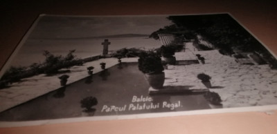 CARTE POSTALA / BALCIA - PACUL PALATULUI REGAL foto