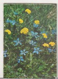 Bnk cld Calendar de buzunar - 1977 - Editura Sport-turism