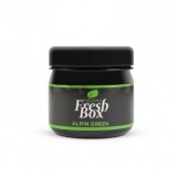 Odorizant Auto Carguard Paloma Fresh Box Alpin Green, 32g, Parfum de Lungă Durată, 60 Zile