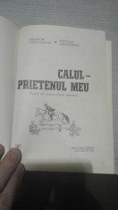 Calul, prietenul meu &amp;amp;#8211; Emanuel Fantaneanu foto