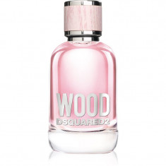 Dsquared2 Wood Pour Femme Eau de Toilette pentru femei 100 ml