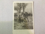 Cumpara ieftin Scenă de război - Timisoara, 1915
