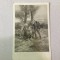 Scenă de război - Timisoara, 1915
