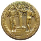x808 MEDALIE SPORTIVA INTERBELICA ASOCIATIA DE NATATIE 1939 locul III CAMPIONAT FEMININ BRONZ 50mm 47g STARE EXCELENTA
