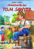 Aventurile lui Tom Sawyer | Mark Twain, Flamingo GD