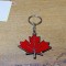 Breloc Canada