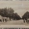 Corabia, Bulevard Carol I// CP