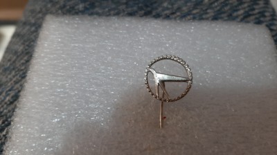 insigna Aviatie foto