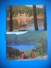 HOPCT LOT 3776 -2 CARTI POSTALE-TUSNAD -JUD HARGHITA-CIRCULATE, Circulata, Printata