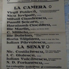 Afiș electoral PARTIDUL NAȚIONAL - ȚĂRĂNESC : V. Potarca ,Pamfil Șeicaru 1930